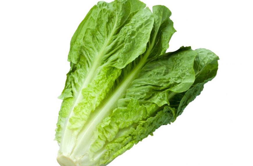 Cuisine Végétarienne